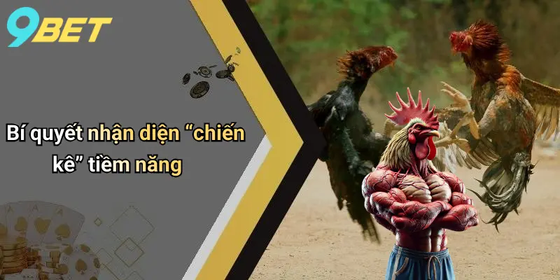 Đá Gà Trực Tuyến: Sân Cá Cược Đỉnh Cao Và Bí Quyết Thắng Lớn 3 Bí quyết nhận diện “chiến kê” tiềm năng